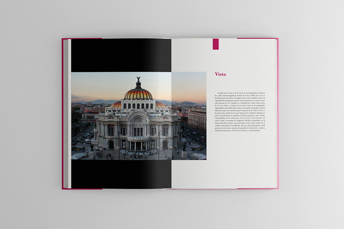 diseño editorial mexico poster ebook editorial design  fundacion Diseño editorial libro proyecto editorial