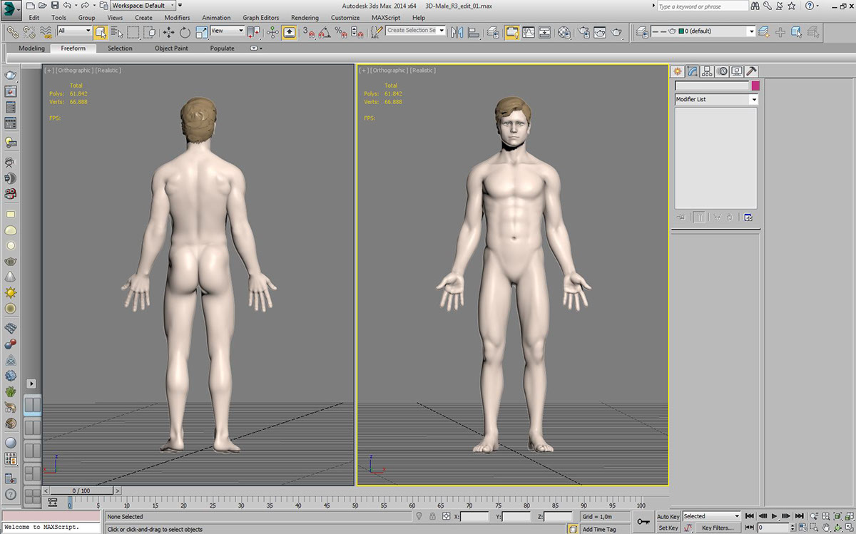 3D modelling Health male female child anatomy man woman