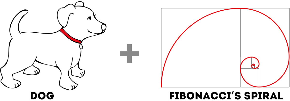 Fibonacci Spiral cartoon