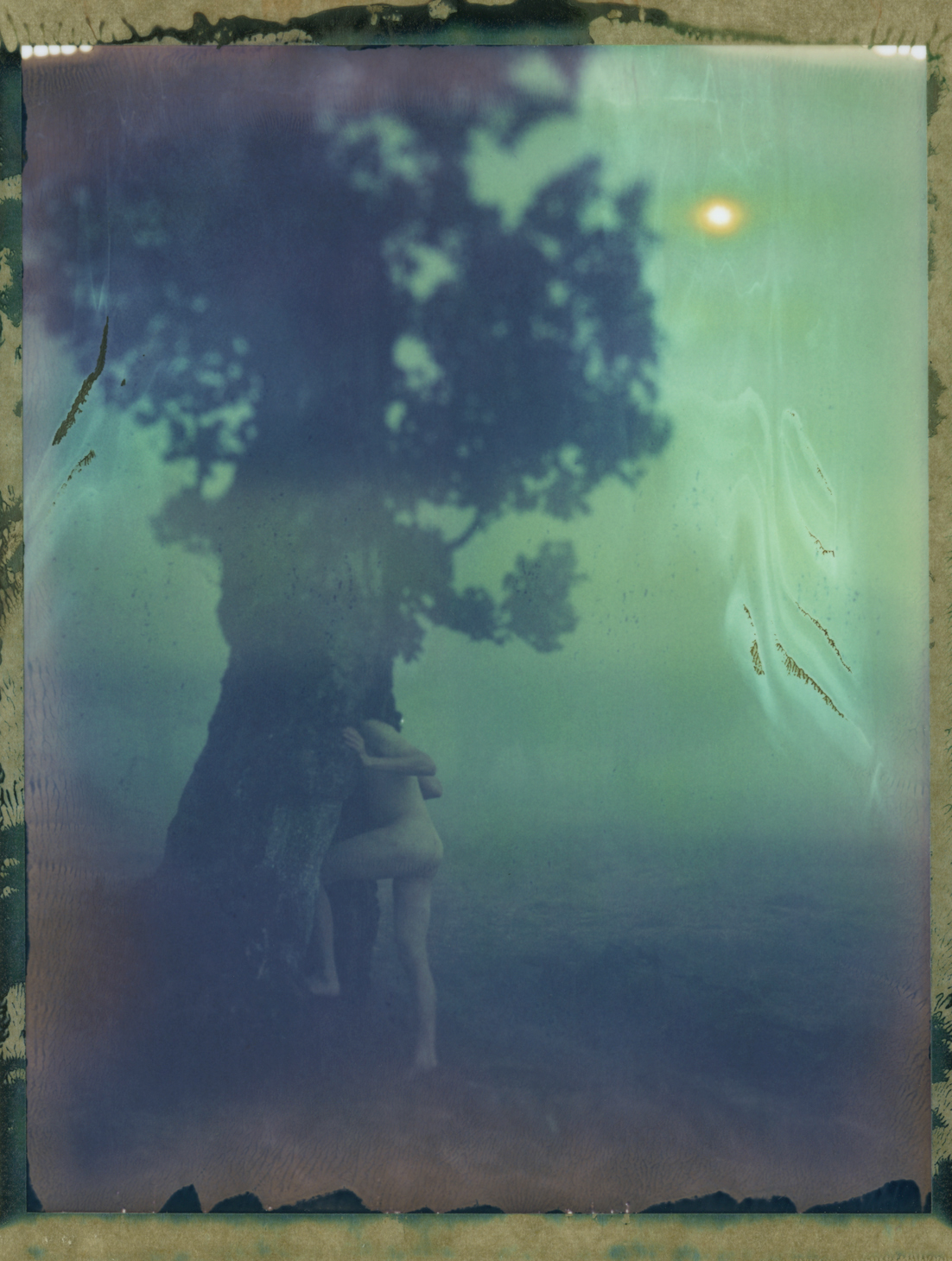 bastiank POLAROID instant large format 4x5 sheet film 59 color film wista field woods calling Nature foggy mystical Entrance life human being