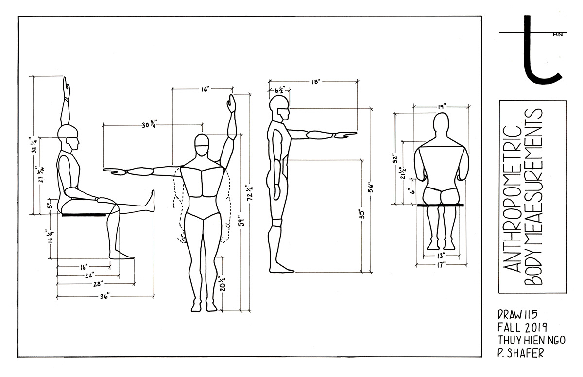Anthropometric Body Measurements on SCAD Portfolios