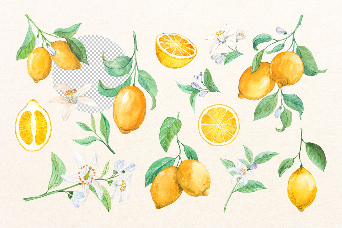 design drink Food  Fruit juice lemon lemonade limoncello Liqueur logo