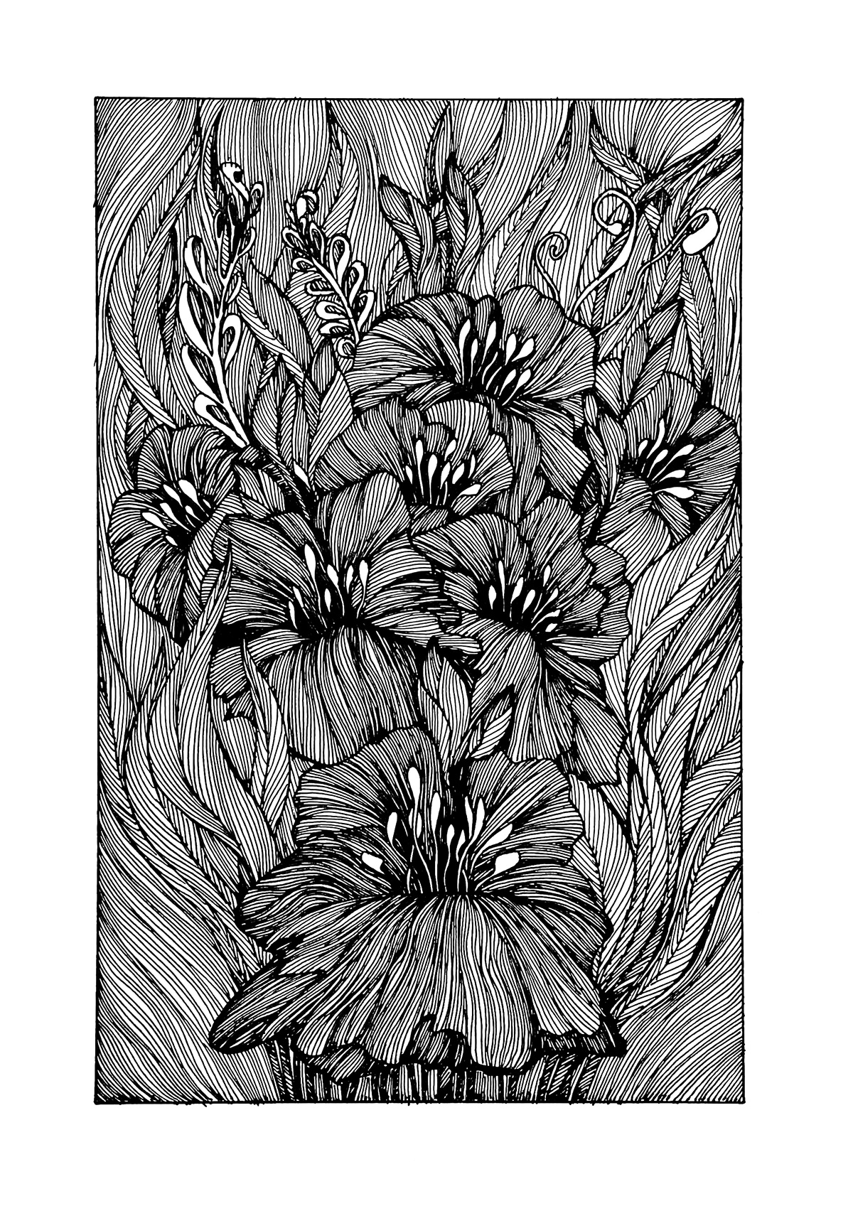 drawing a day drawing daily drawing challenge line art fine lines hatching graphics vytas neviera visuals vytas neviera 365 free hand Nature Flowers flower power I Am Nature passion