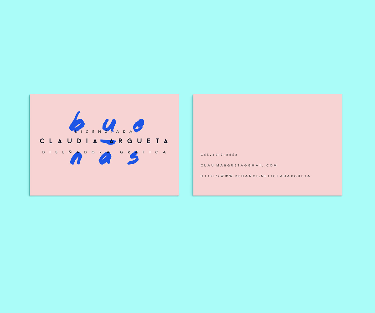 Identity Design Minimalism color pink blue curriculum CV personal project Resume