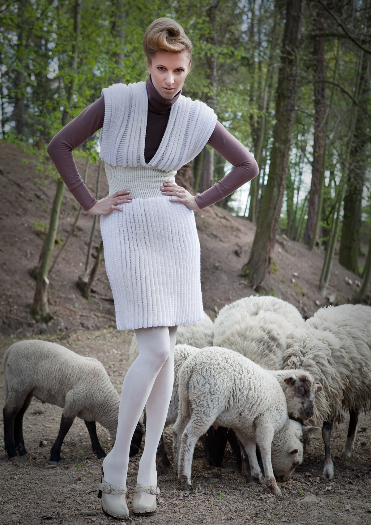 knitting structure sheep sheep-hut sheep´s fur Nature