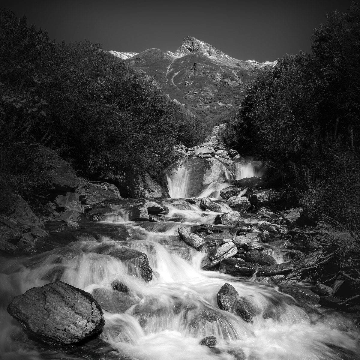 Landscape Nature Photography  lightroom mountain sea forest photoshop black and white