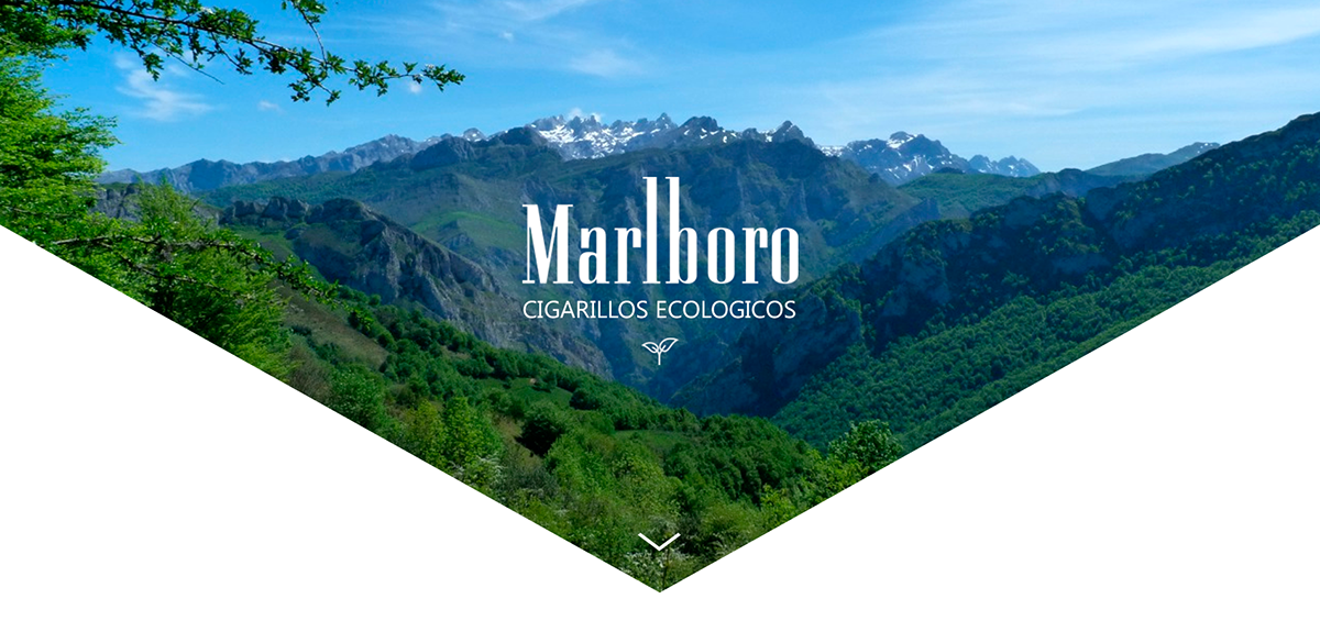 marlboro interfaces Web landing Langingpage webpage graphic design  landing page ecologic