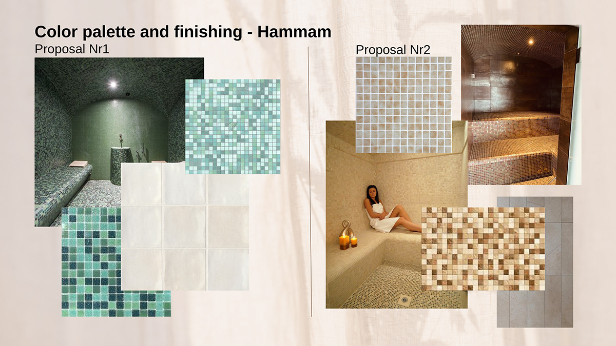 Adobe Portfolio architecture interior design  romanian design swimming pool Render visualization Sauna Hammam Spa