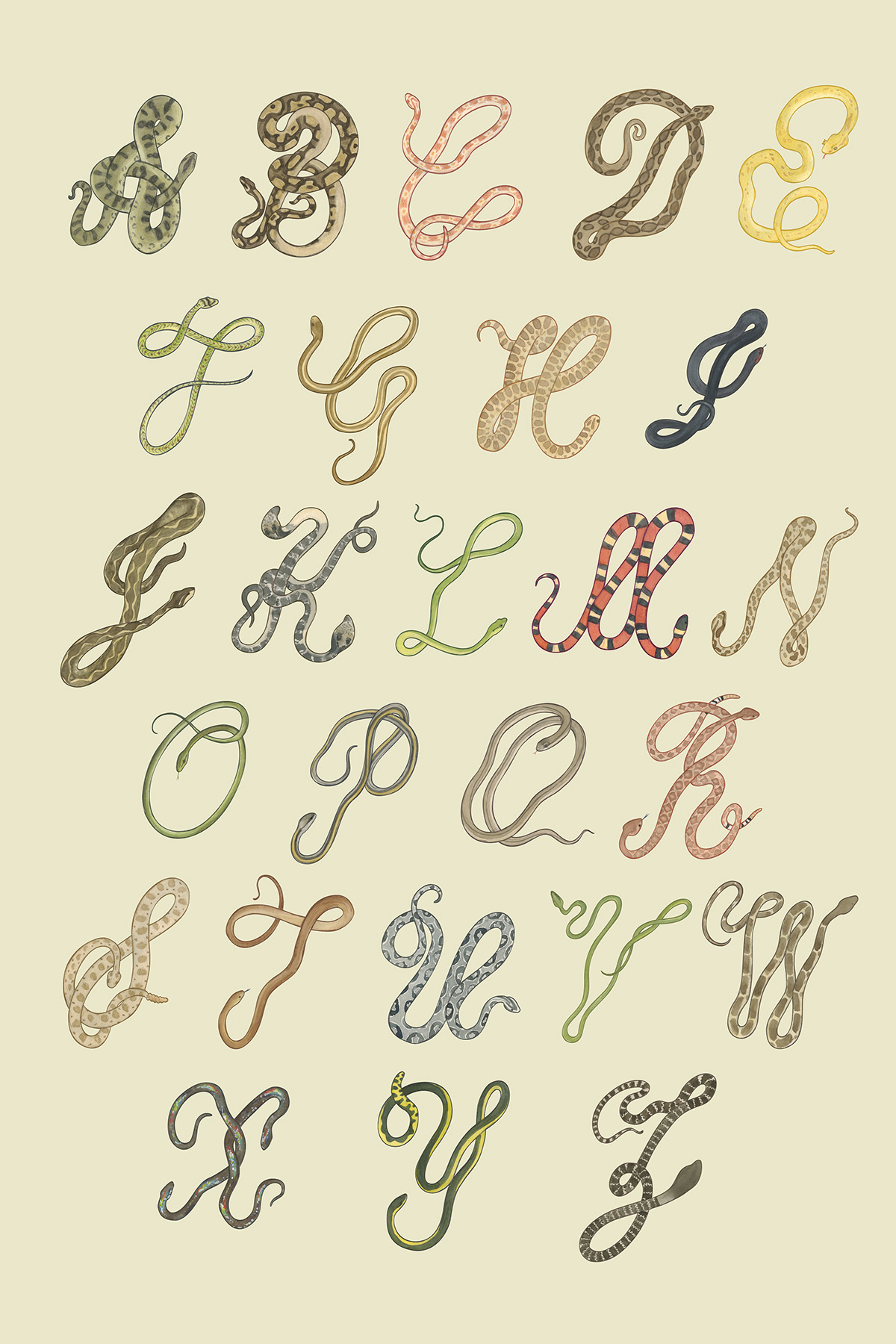 snakes alphabet snake letterforms art for children illustrated alphabet art book slither