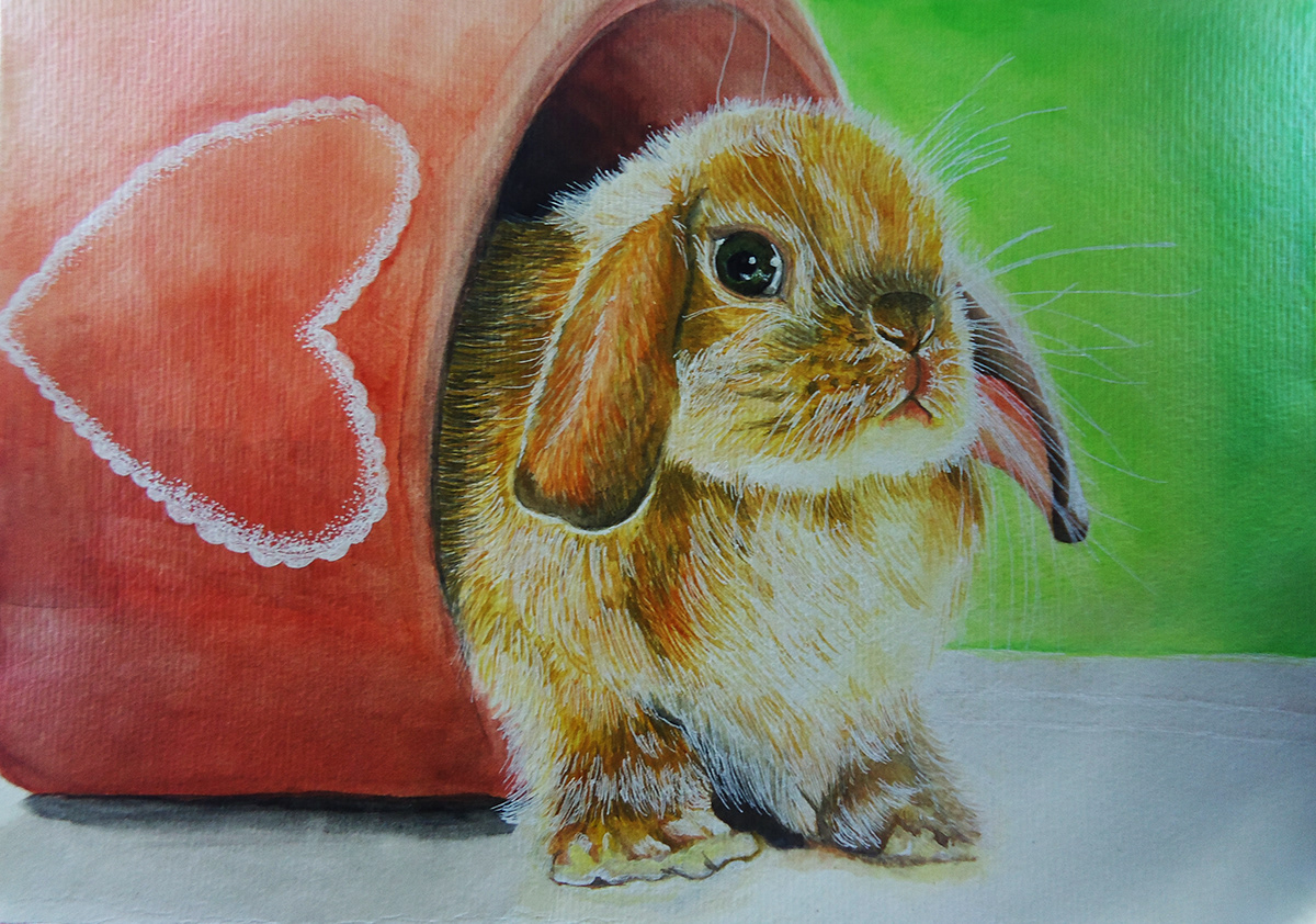 bunny  Coelho aquarela  watercolor