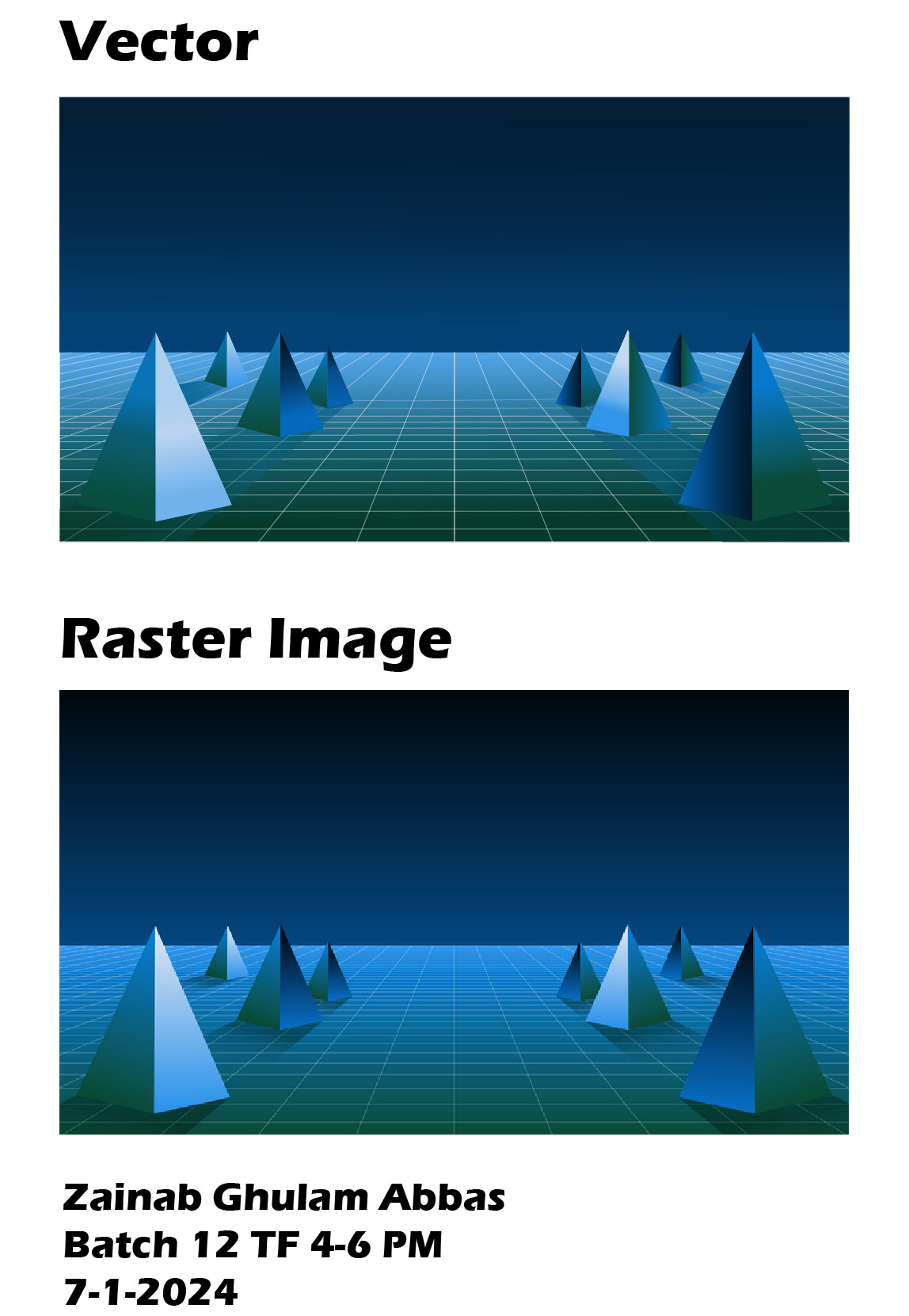 graphic design  raster to vector ILLUSTRATION  adobe illustrator