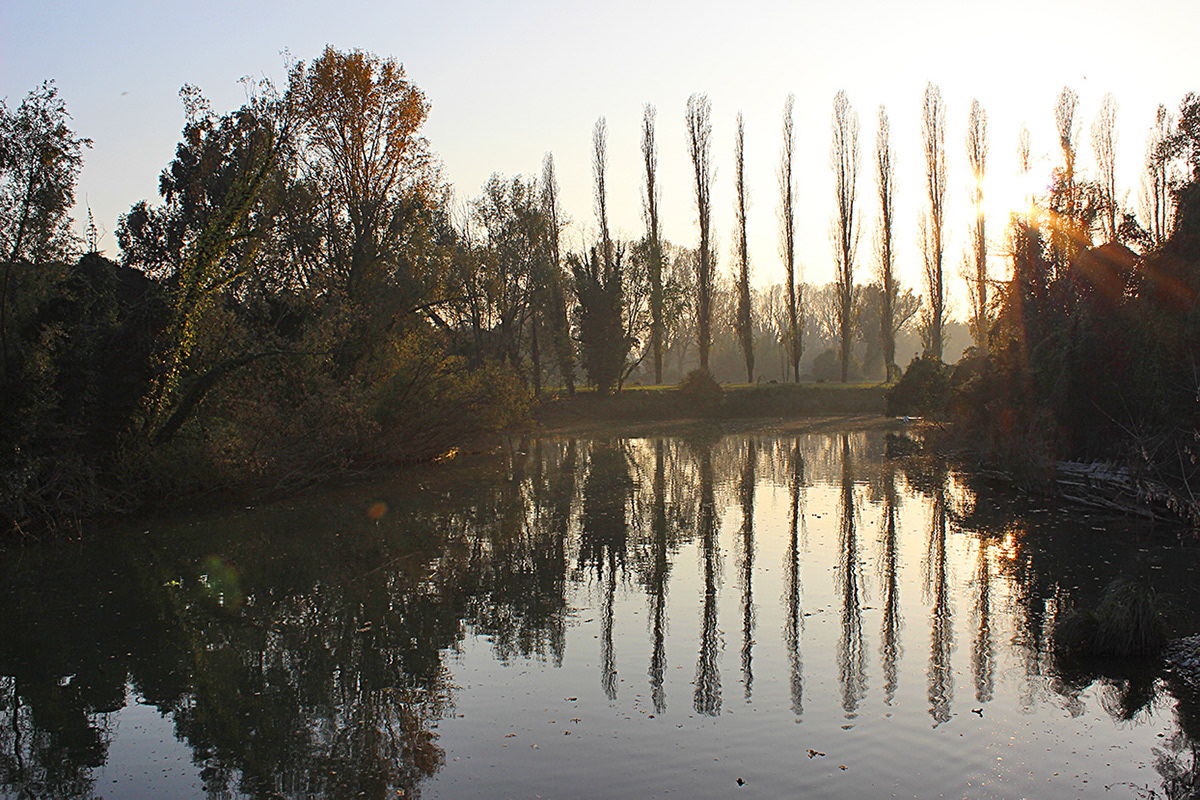autumn river Treviso water reflections Italy italia industrial history Nature