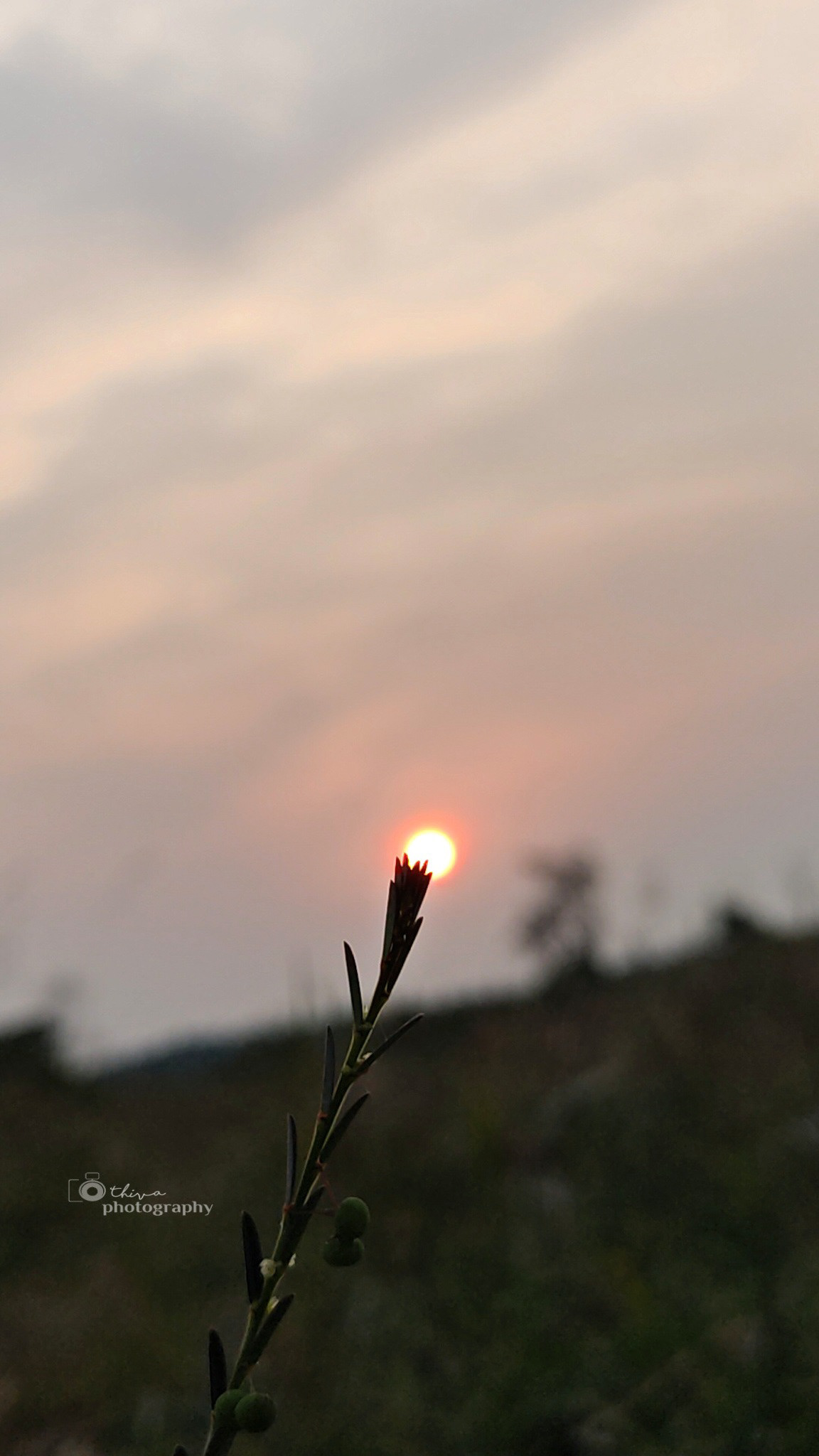 SKY sunset Sunrise Sun Canon Photography  Nature photoshoot mobile 450D