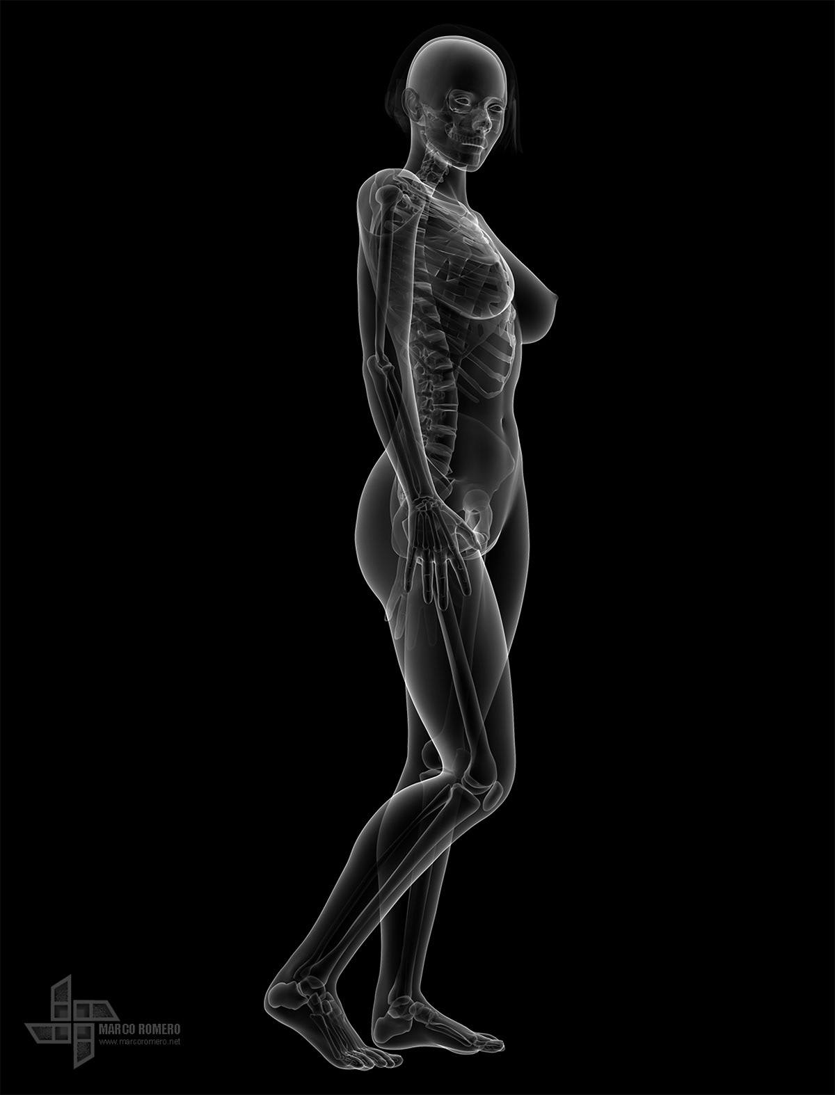 female anatomy Poser girl beauty woman medicine actor virtual Education media x-ray Radiologic Health medical