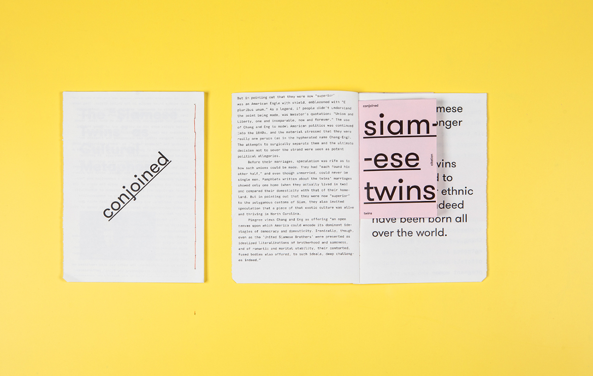 Twins book Booklet yellow istd trend trendy BHSAD Moscow
