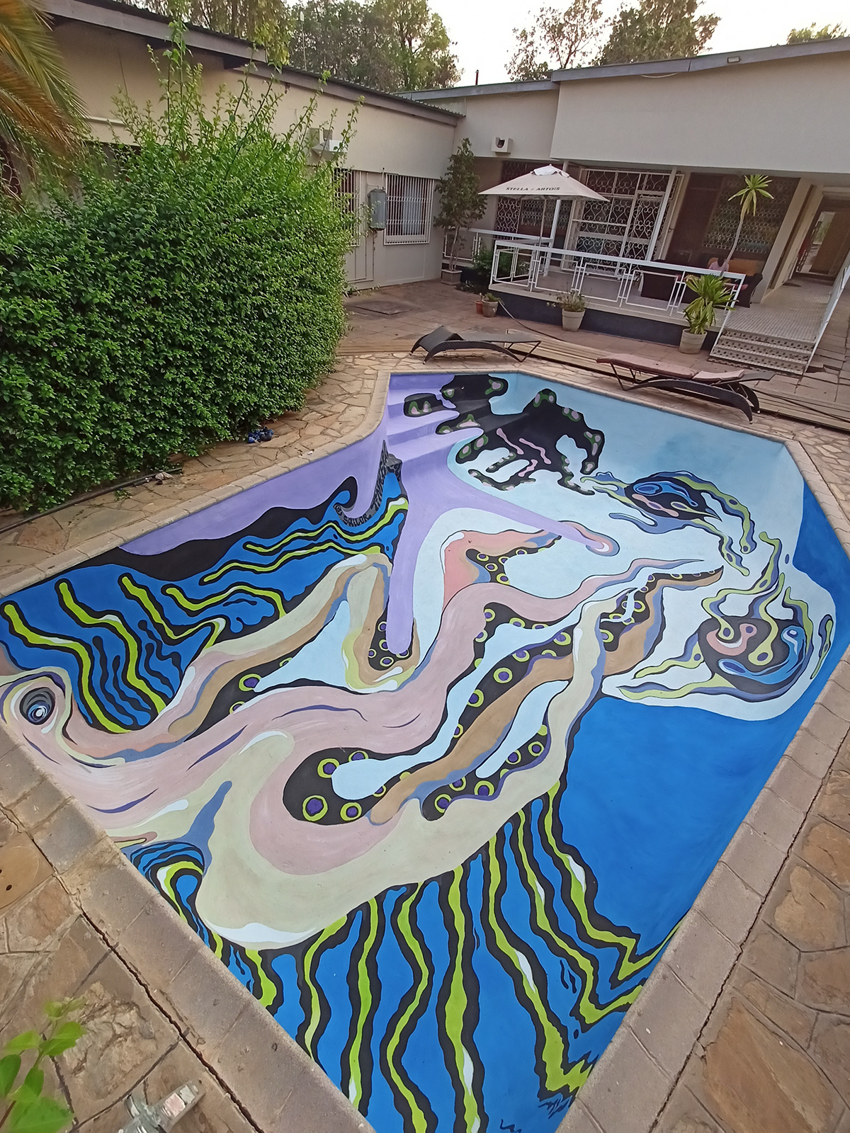 Graffiti Mural painting   psychedelic swimming pool