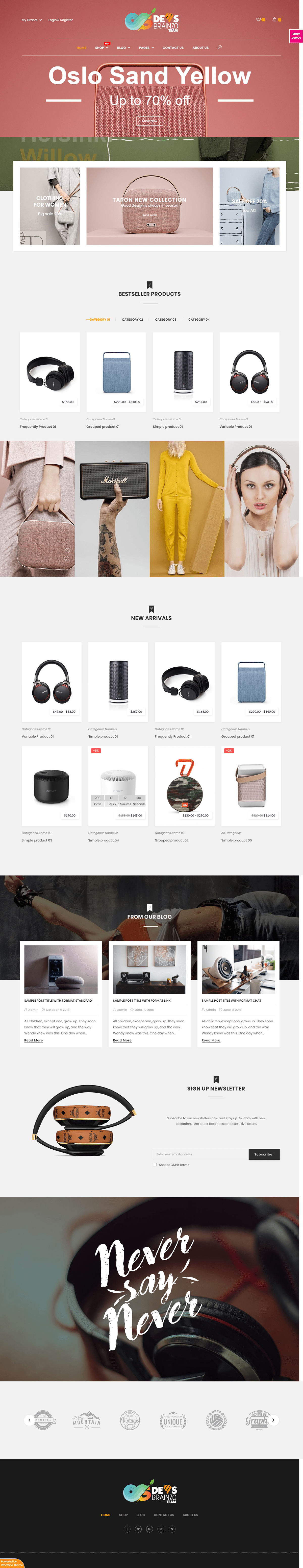 dropshipping Ecommerce ecommerce store ecommerce website Online Business online store shopify store Woocommerce woocommerce customize