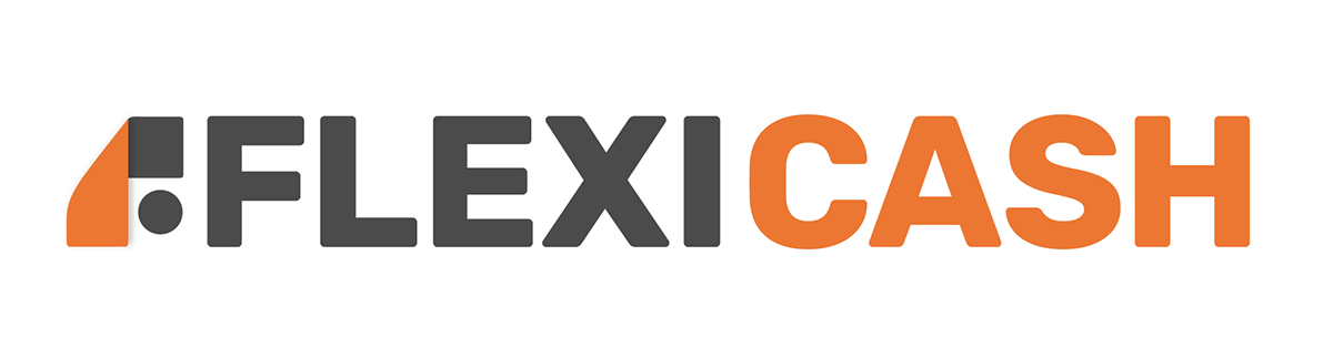 flexi Flixible money cash logo branding  webpage orange businesscard design