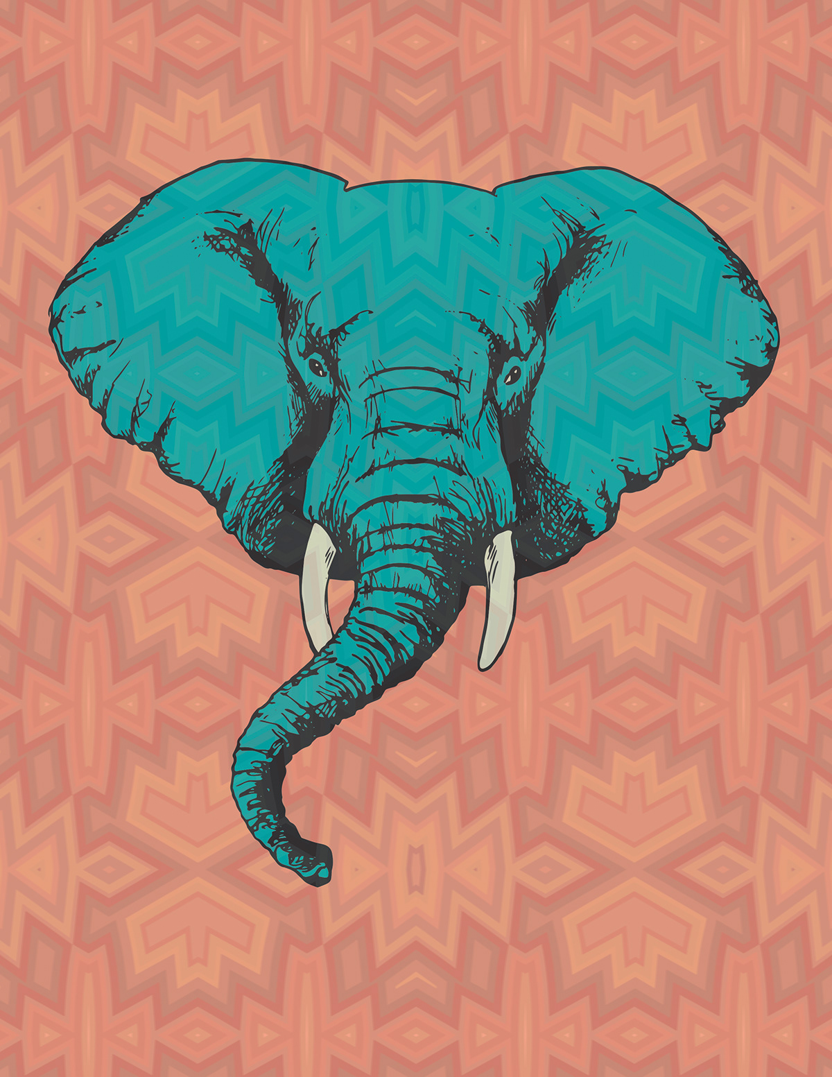 elephant poster patter Illustrator graphic design