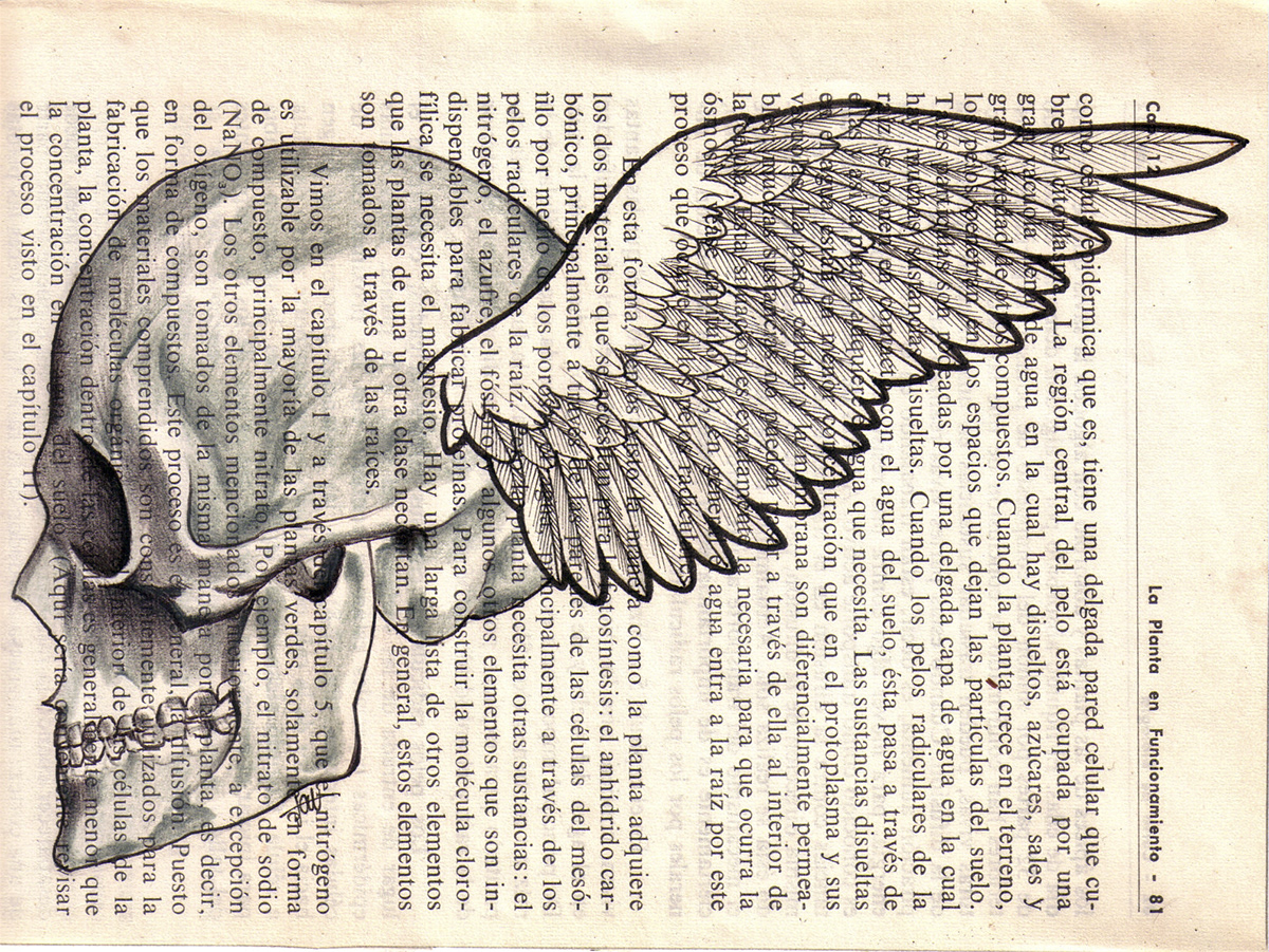 skull wings pencil ink
