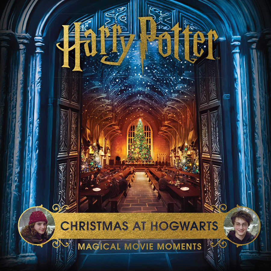 book Christmas cover harry potter ILLUSTRATION  Movies