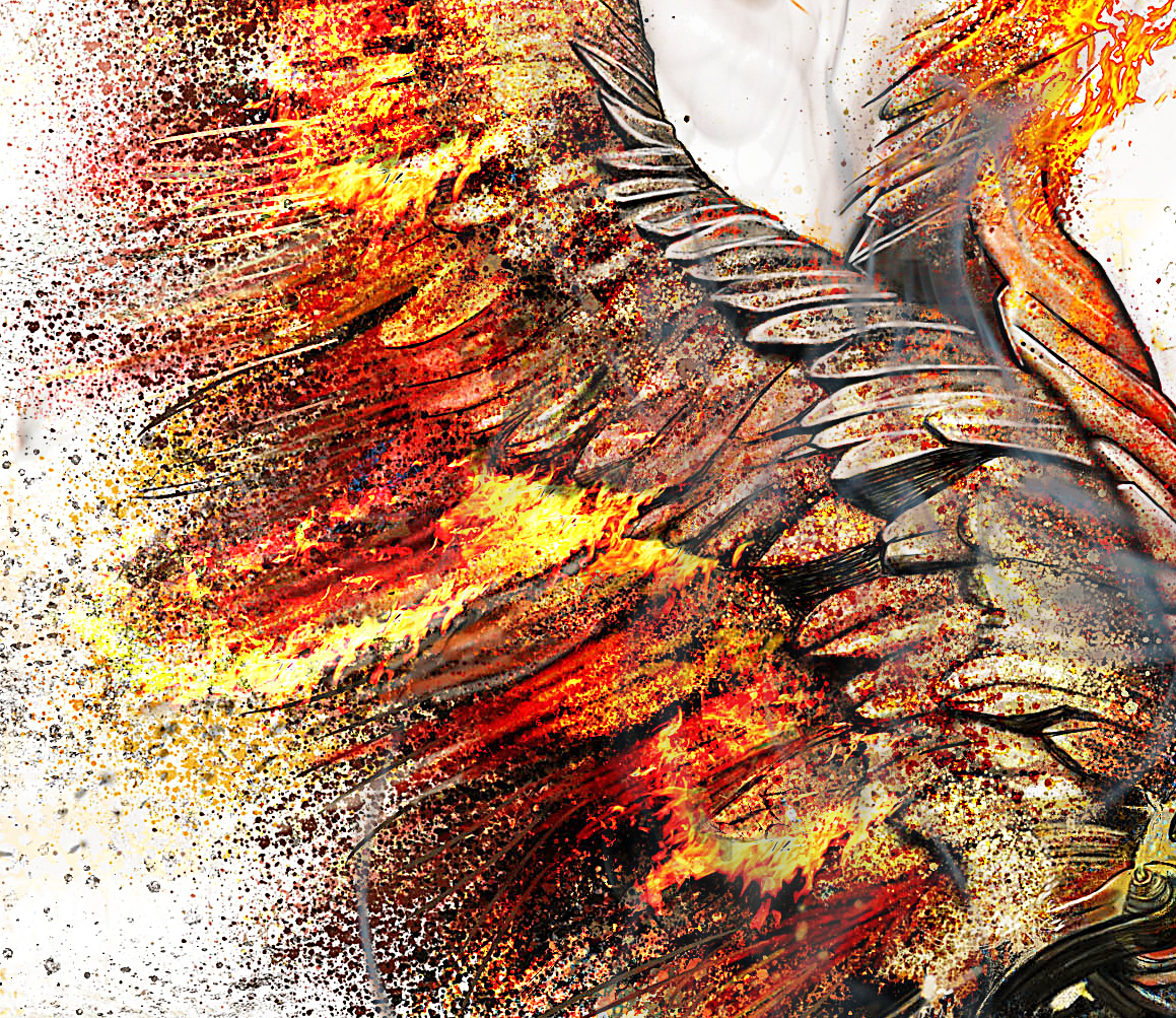 graphic wolf eagle gorilla ilustrar photo photoshop colors fine fine art design hibrid beast fire