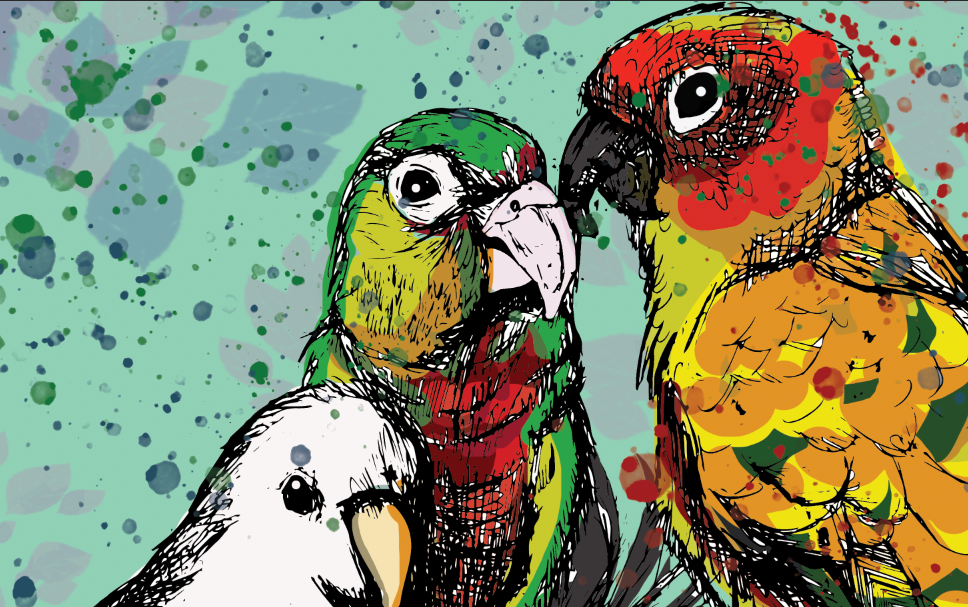 animals artwork birds Digital Art  Drawing  ILLUSTRATION  sketch