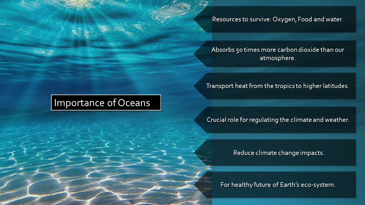 Ecology oceanplastic research review sustainablity