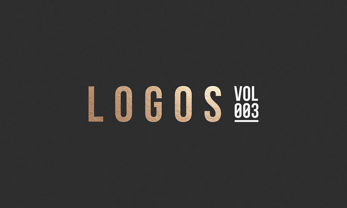 Logo Design logo graphic design  brand identity logos