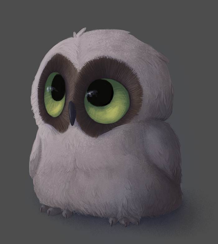 owl eyes night baby cute animal
