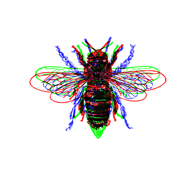 RGB color colorspace insect bee