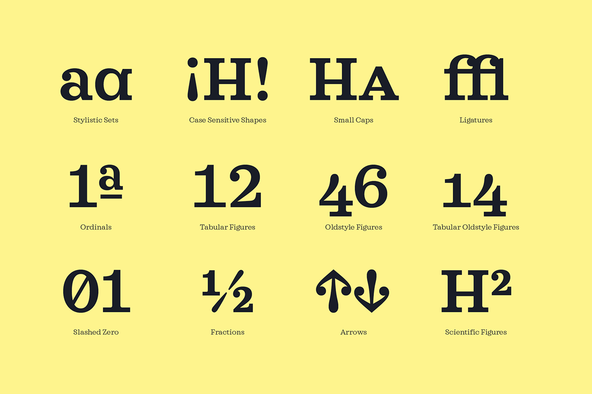 font Typeface family text editorial magazine branding  design webfont