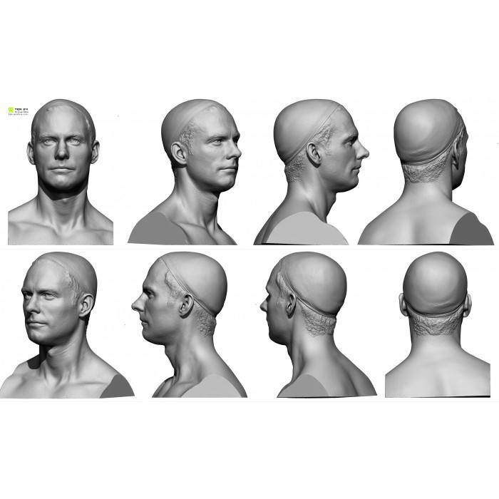 3D scan male parts obj ztl Pack offer Zbrush