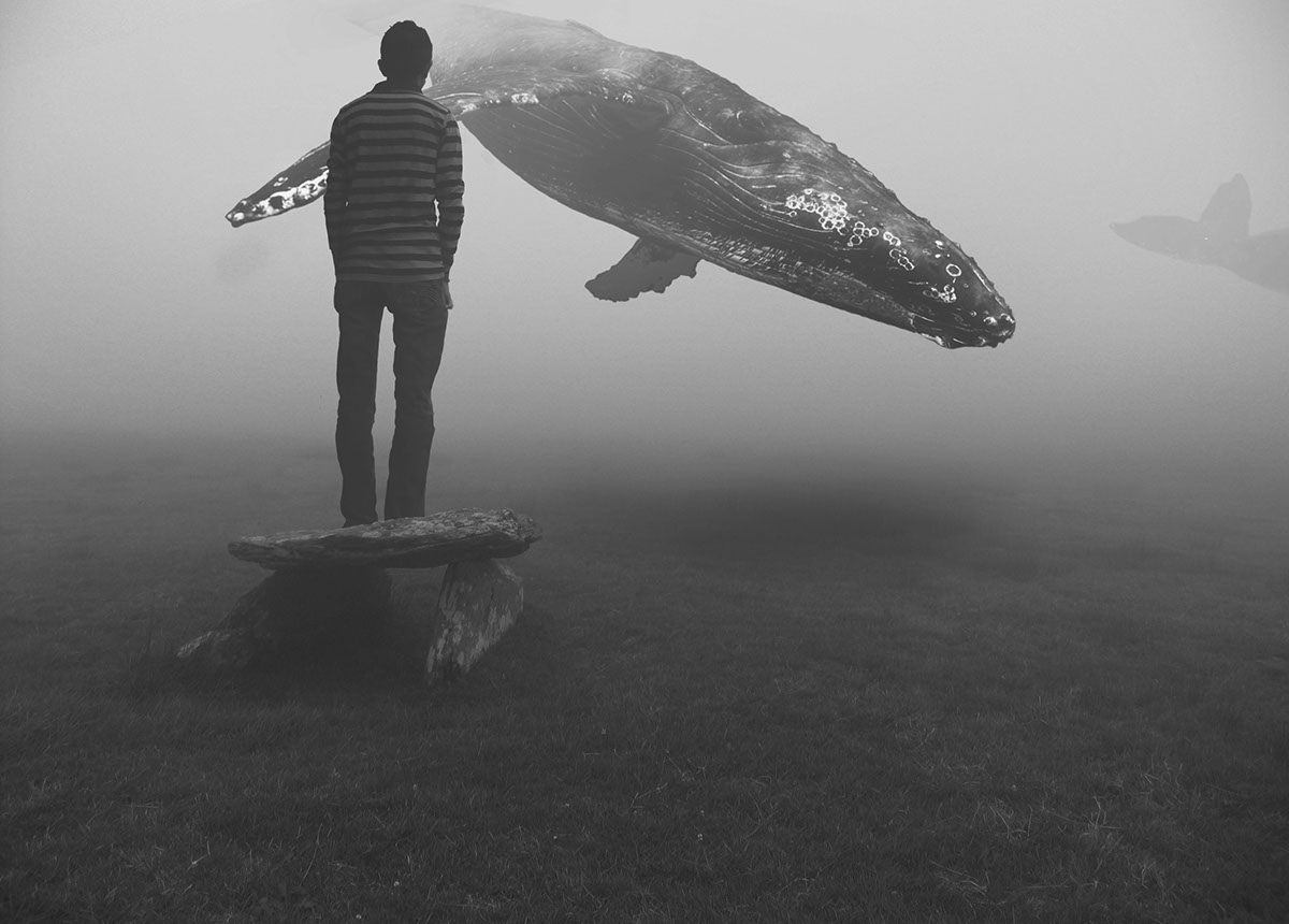 Whale fishe Flying photoshop fogt mist blankandwhite mithil ahmedabad man air IN