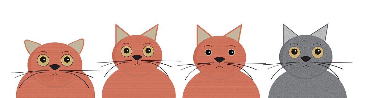 Vector Ilustration vectors Cat dog Illustrator banner digital design Marketing collateral
