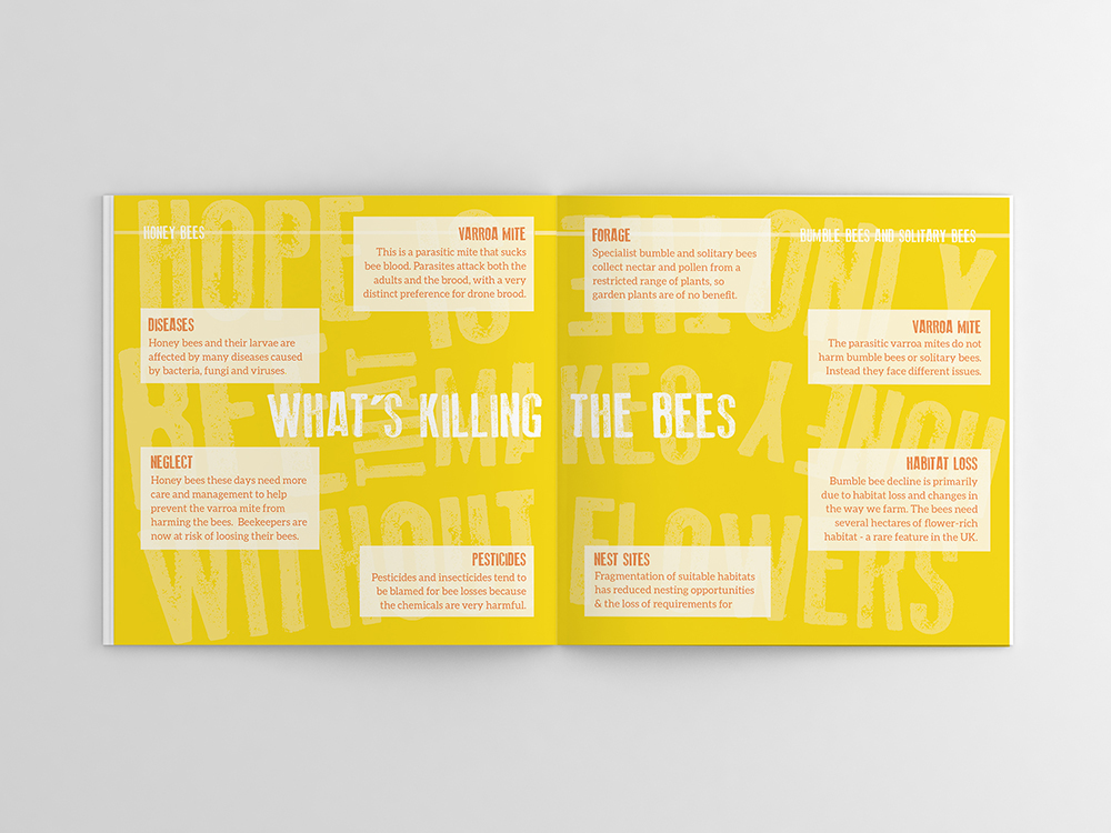 bee save campaign Booklet book square beewise save the bees awareness aware we need bees bugs Insects square book Colourful 