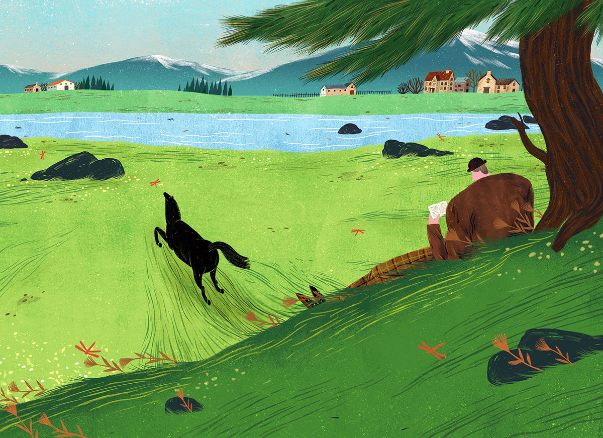 animal Black Beauty book illustration digital painting horse ILLUSTRATION  novel