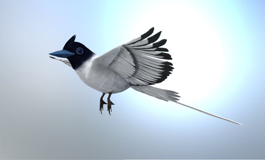 3D 3d modeling bird concept Digital Art  ILLUSTRATION  modeling Render visualization Zbrush