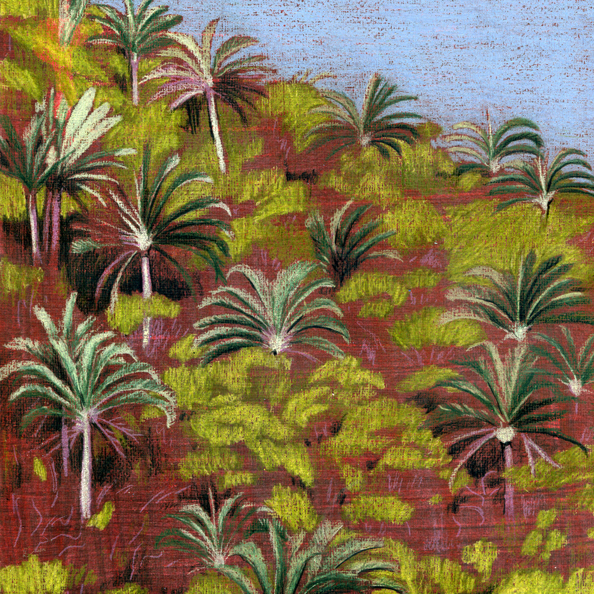 colored pencil Drawing  Zeichnung palm Palm Tree Palmen series summer mood summer ILLUSTRATION 