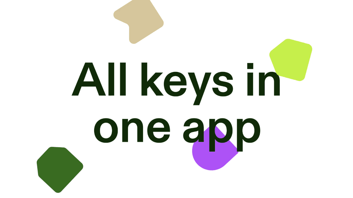 app branding  Doors graphic design  ILLUSTRATION  keys locks motion UI smart locks
