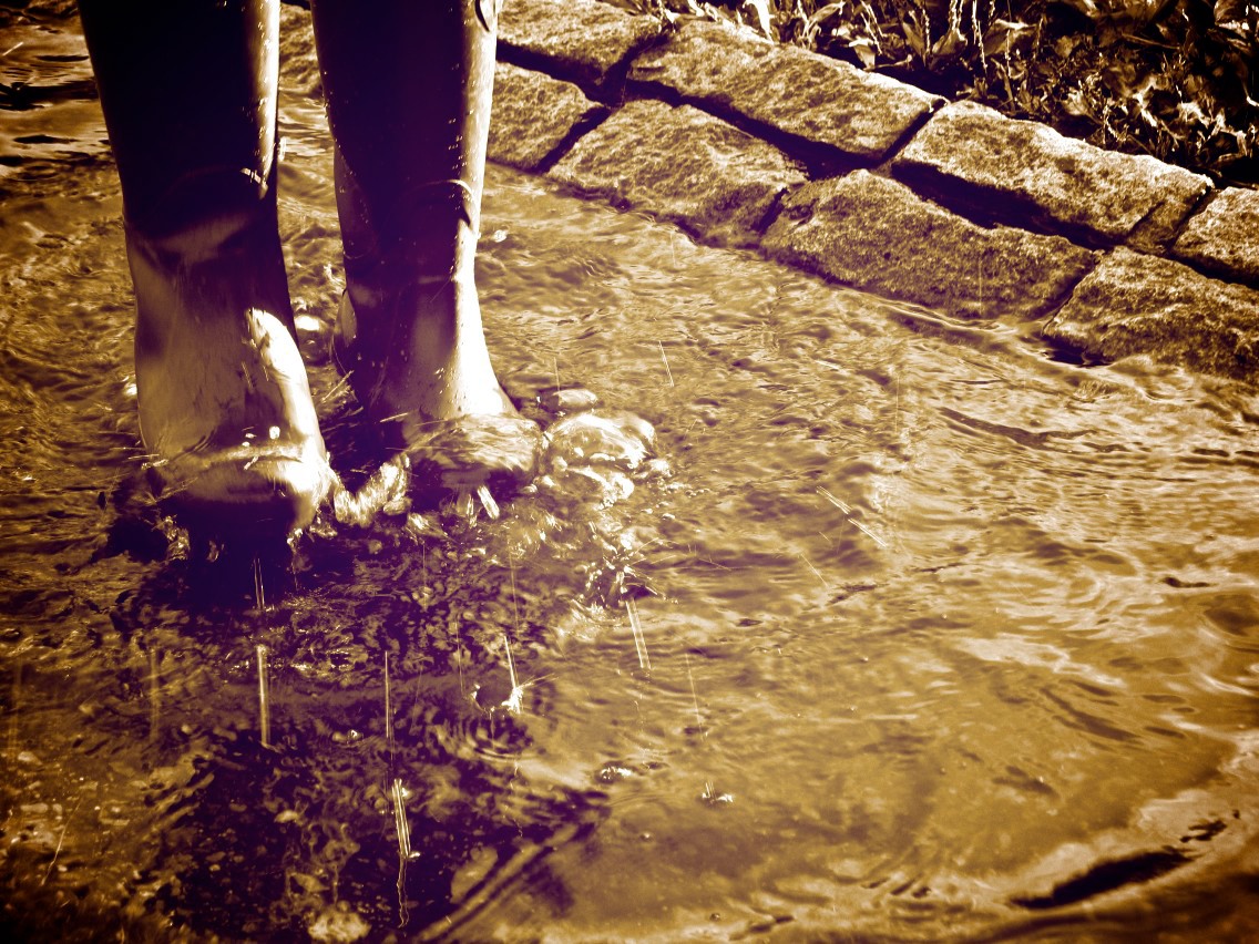 LL Bean rain boots  rain puddles Nature walking outdoors