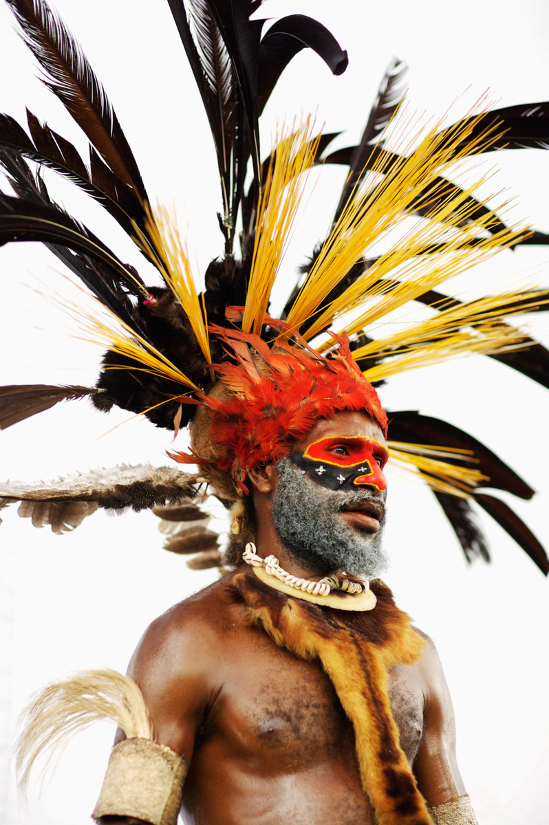 guinea Papua tribe potrait indigenous Travel