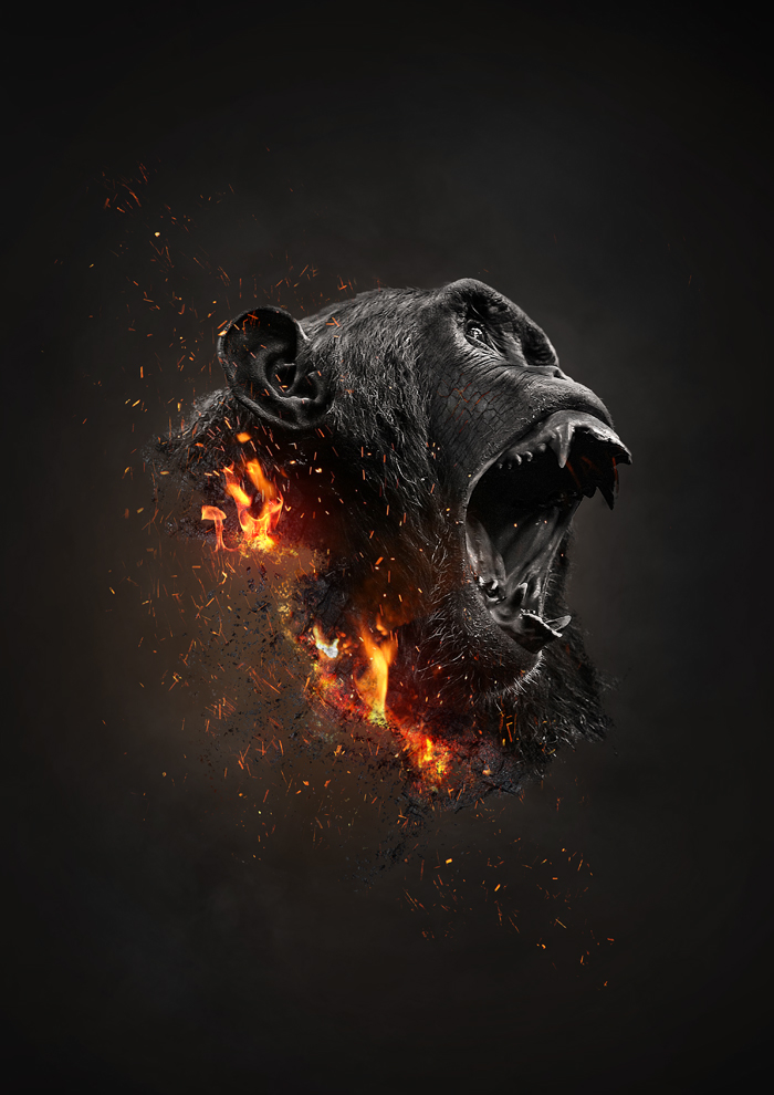 Extinction animals Photo Composite Photo Manipulation  art design fire charcoal photo editing ILLUSTRATION 