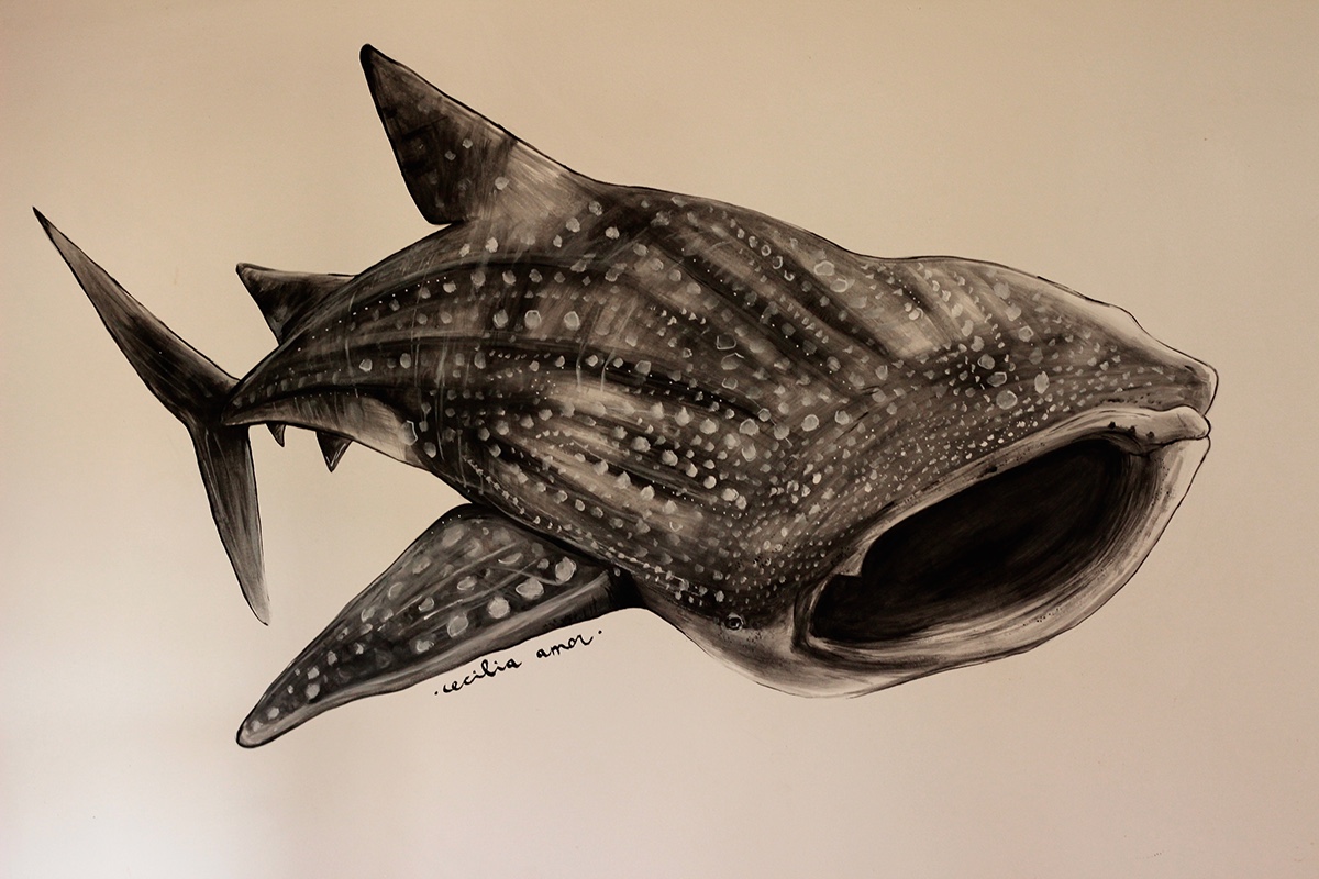 Whale shark black acrylic wall