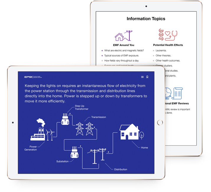 Interaction design  UI ILLUSTRATION  iPad