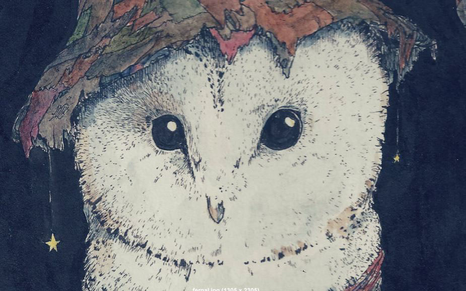 ink owl mice children Watercolours Fineliners details characters irish dark book