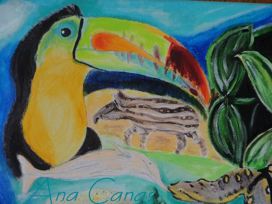 forest frog tucano birds dolphin tatoo snake rainbow amazonia rainforest