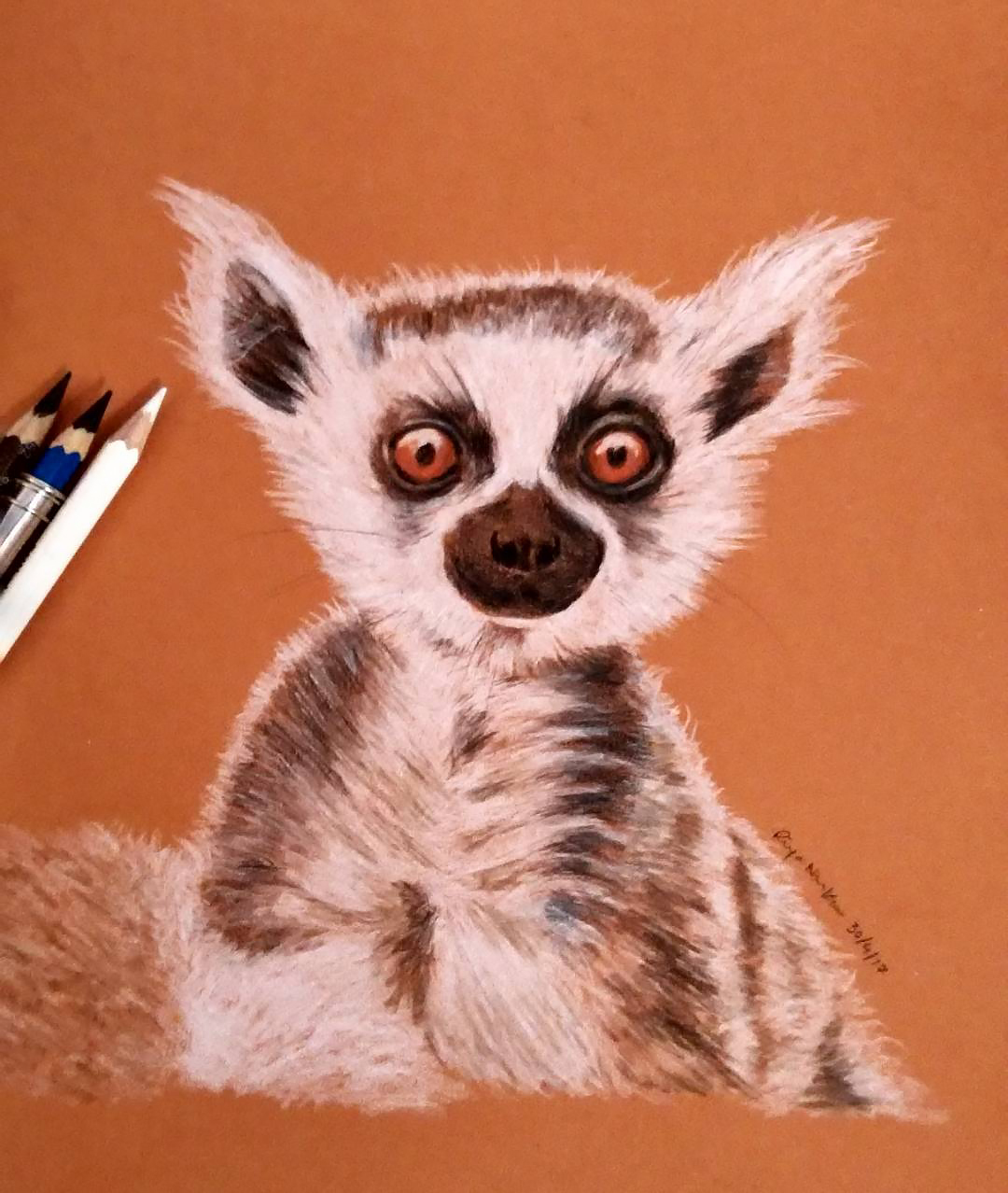 animal portrait wildlife Drawing  sketching fine art pencil sketch colored pencil