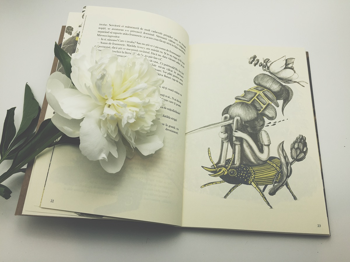 book ILLUSTRATION  ink noses craft