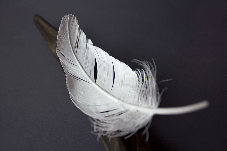 papercraft paper sculpture feather sprout sculpture